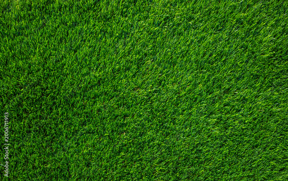 Artificial Grass